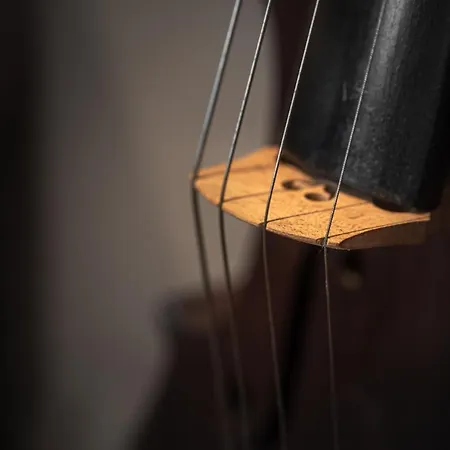 Plaza View Luxury Apartment, Alba (Piedmont)